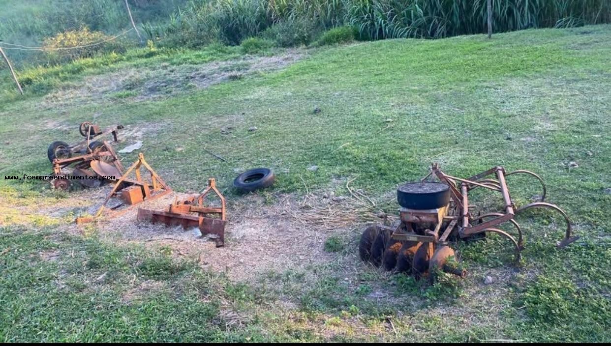 Chácara, 1 quarto, 6050 m² - Foto 9