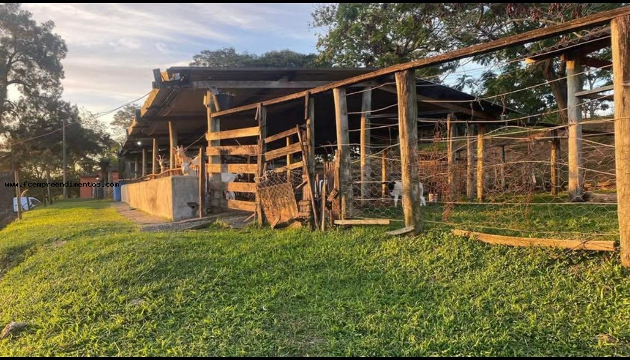 Chácara, 1 quarto, 6050 m² - Foto 6