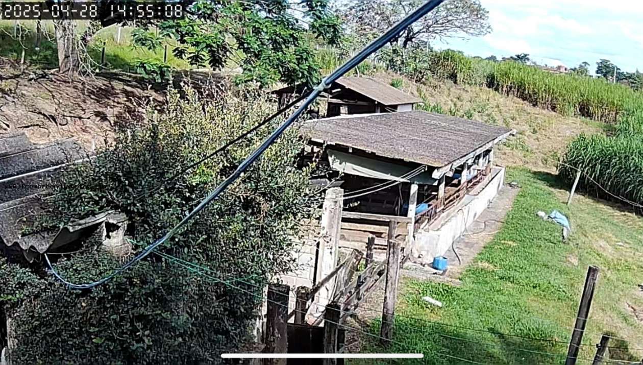 Chácara, 1 quarto, 6050 m² - Foto 10