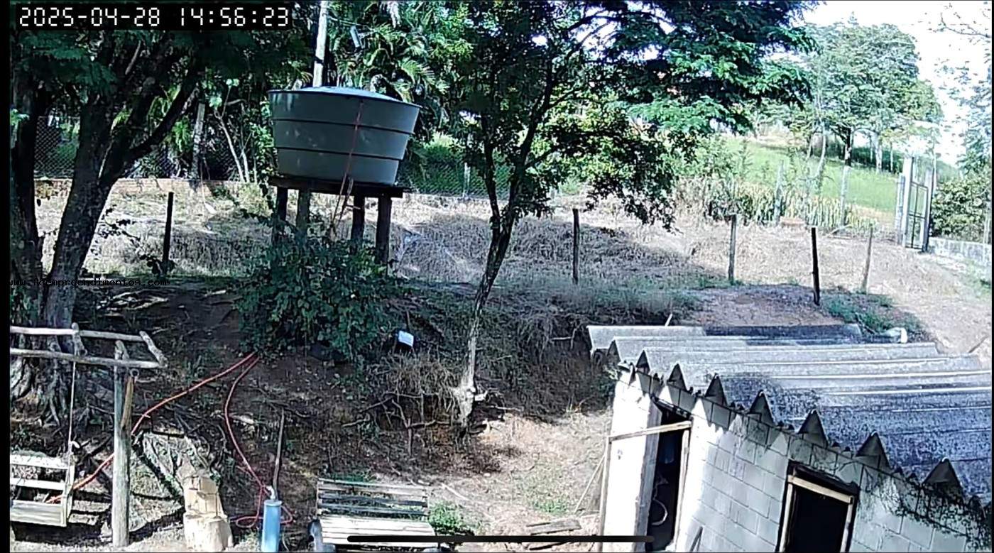 Chácara, 1 quarto, 6050 m² - Foto 13