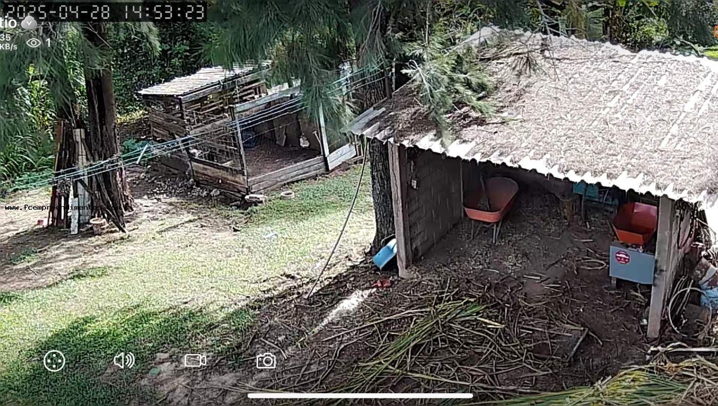 Chácara, 1 quarto, 6050 m² - Foto 11