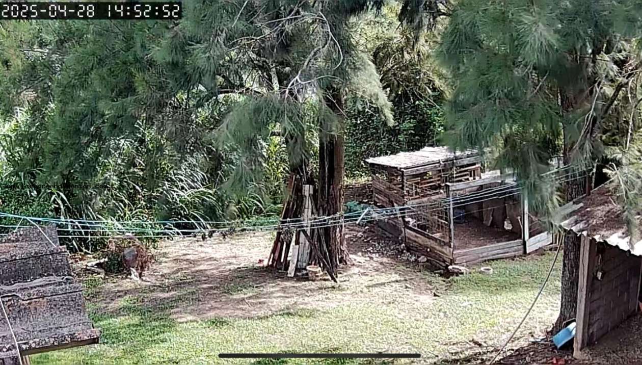 Chácara, 1 quarto, 6050 m² - Foto 14