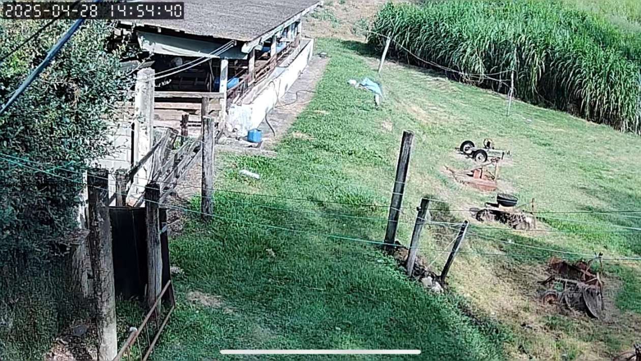 Chácara, 1 quarto, 6050 m² - Foto 15