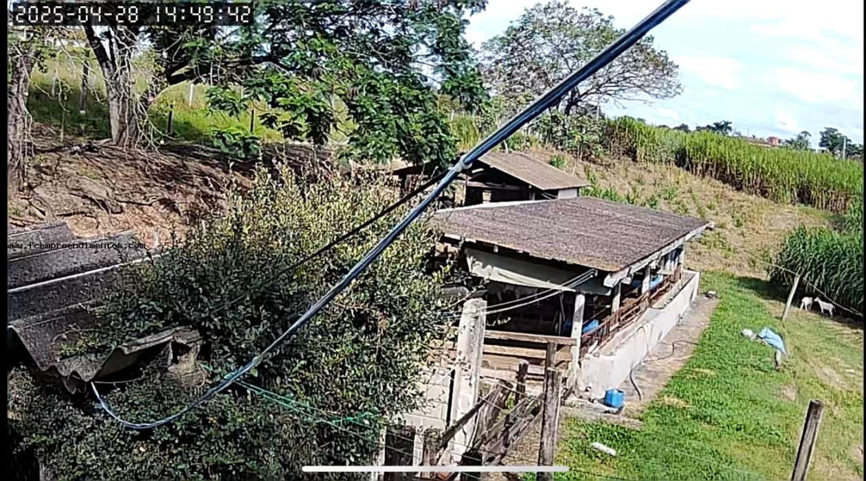 Chácara, 1 quarto, 6050 m² - Foto 17