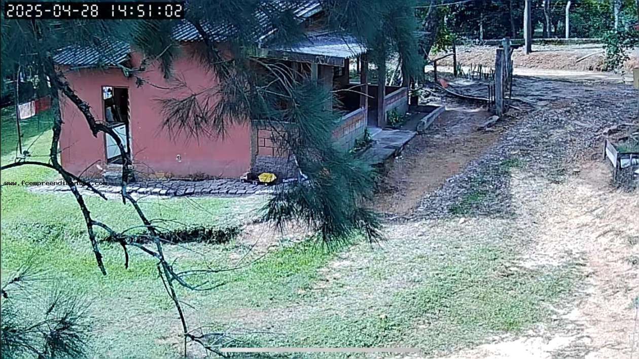 Chácara, 1 quarto, 6050 m² - Foto 18