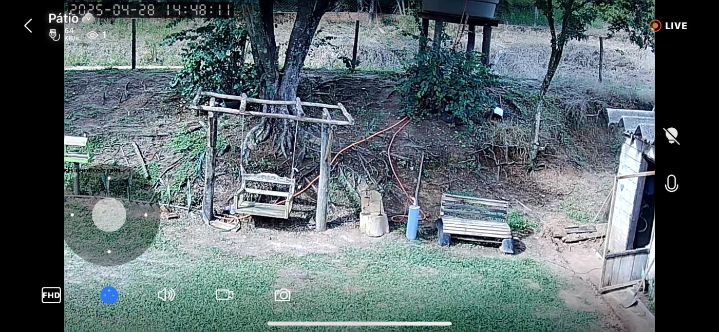 Chácara, 1 quarto, 6050 m² - Foto 19