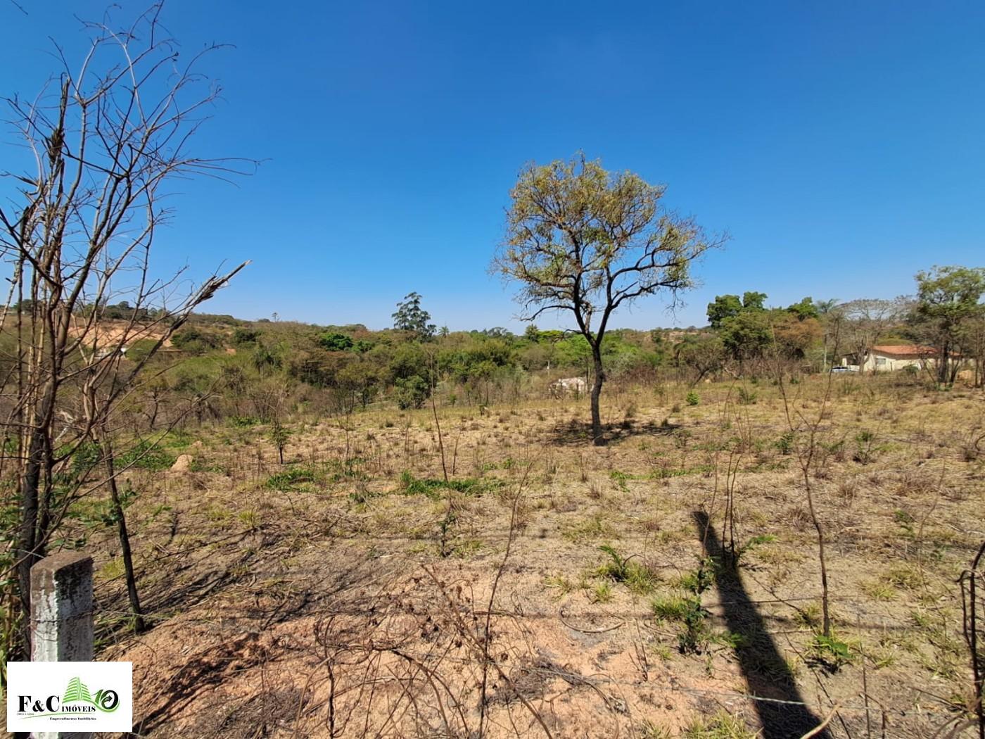 Sítio, 2 hectares - Foto 1