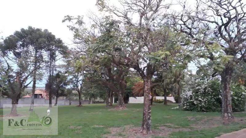 Terreno, 507 m² - Foto 6