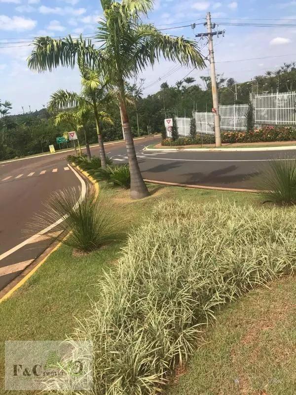 Terreno, 507 m² - Foto 7