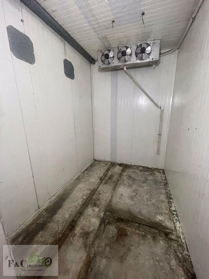 Depósito-Galpão - Foto 3