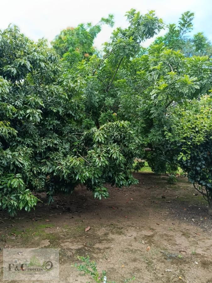 Chácara, 3 quartos, 1250 m² - Foto 20