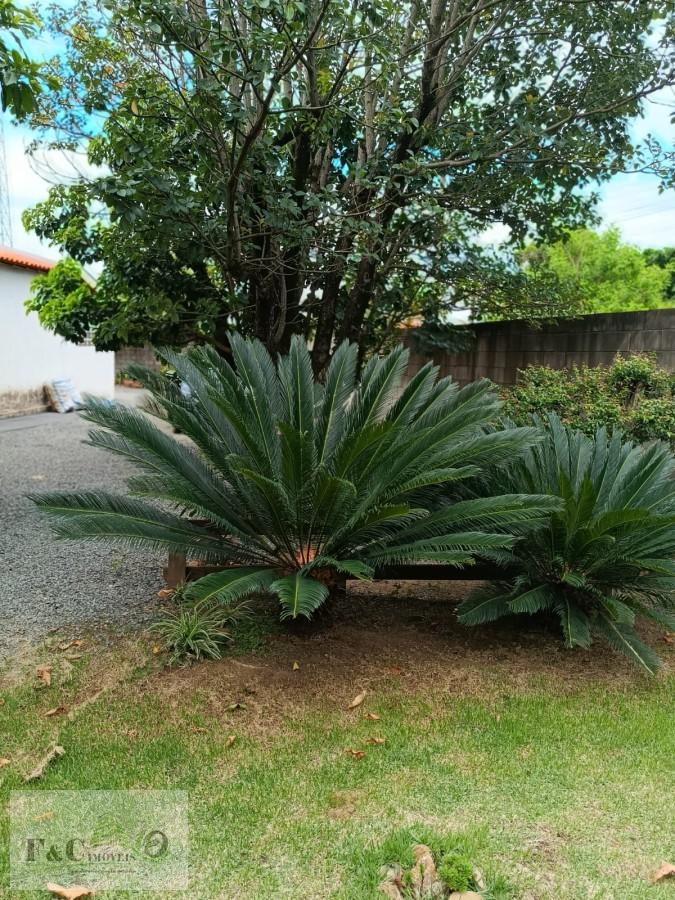 Chácara, 3 quartos, 1250 m² - Foto 21