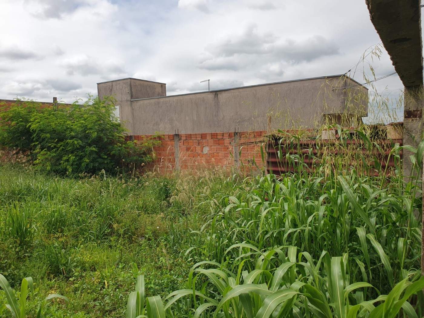 Terreno, 100 m² - Foto 3