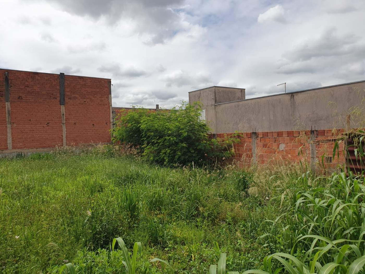 Terreno, 100 m² - Foto 4