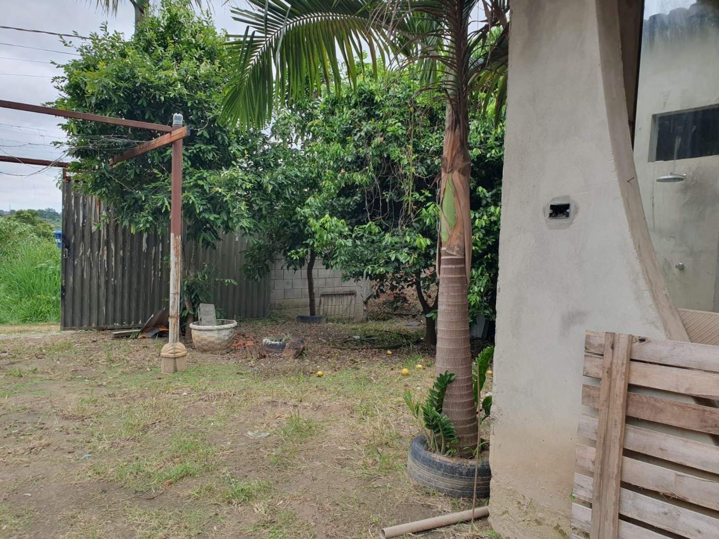 Chácara, 3 quartos, 2500 m² - Foto 6