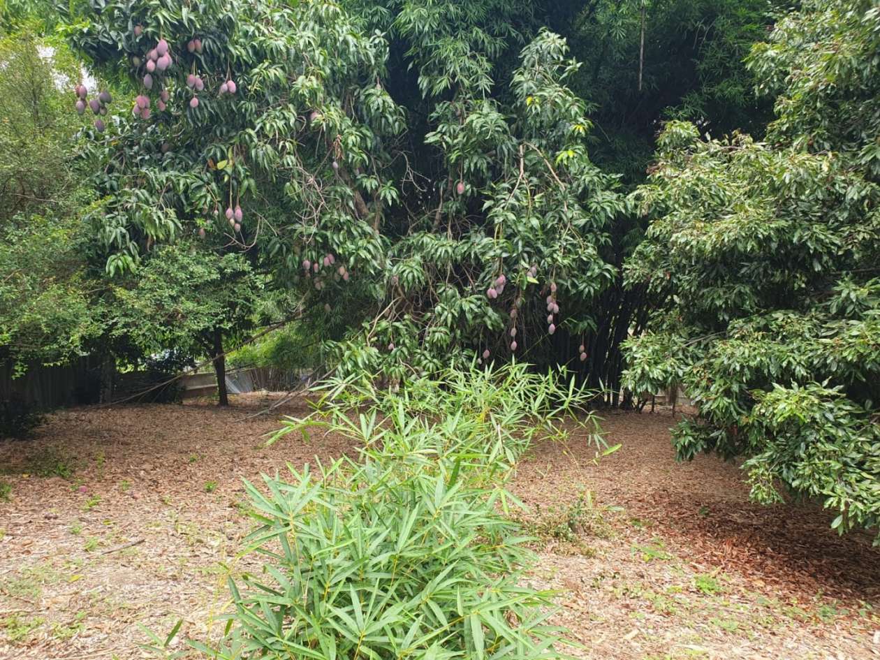 Chácara, 3 quartos, 2500 m² - Foto 37