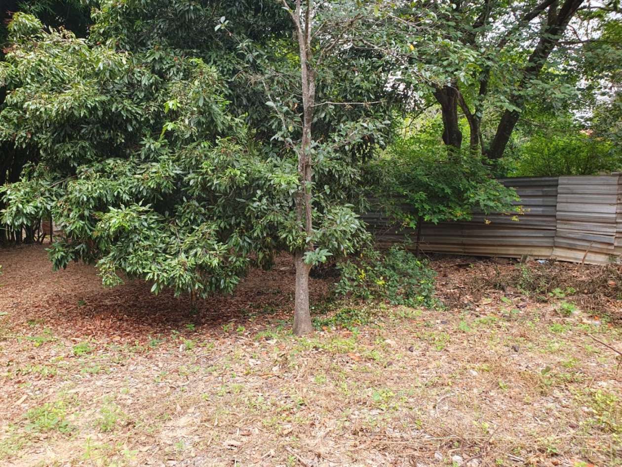 Chácara, 3 quartos, 2500 m² - Foto 38