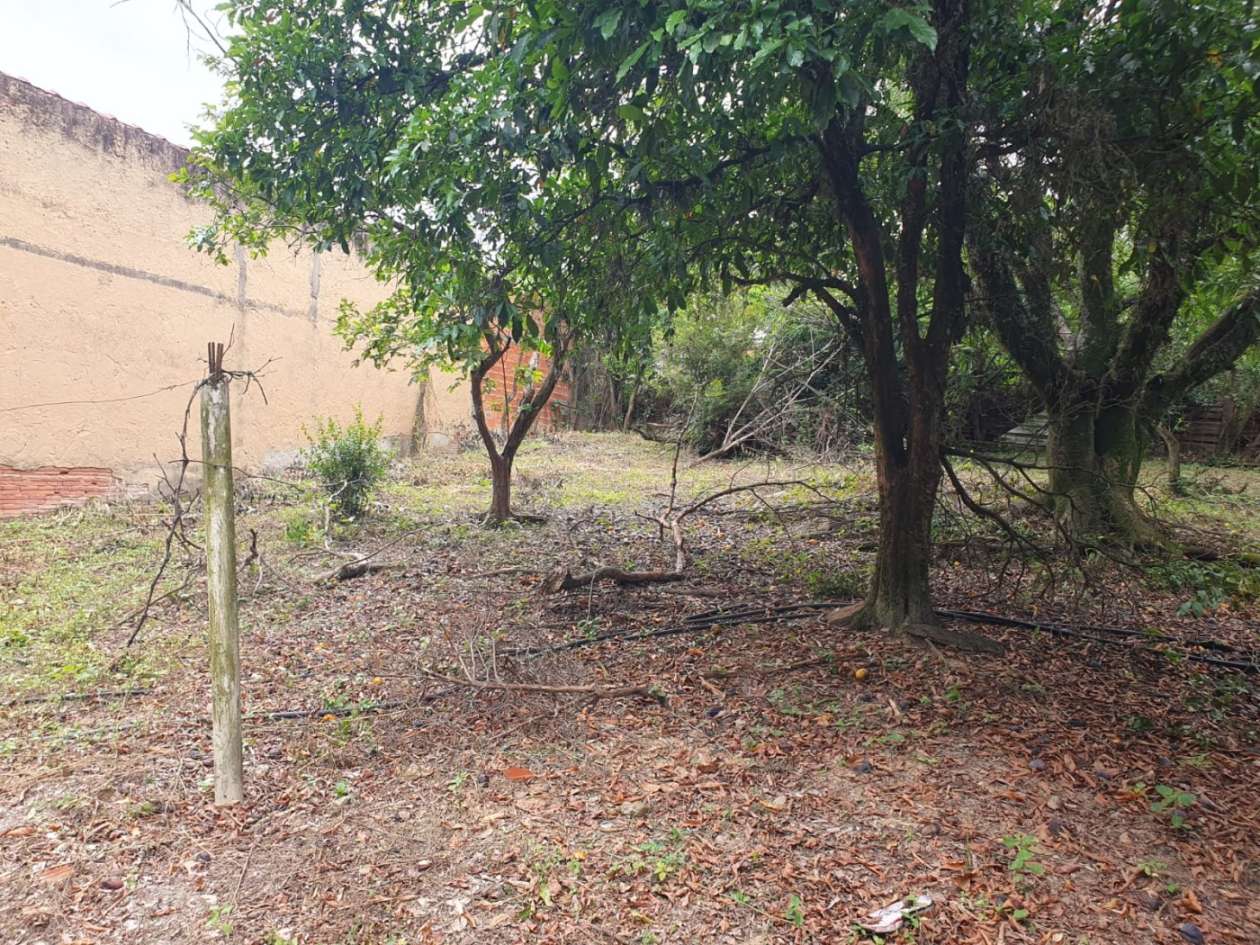 Chácara, 3 quartos, 2500 m² - Foto 39