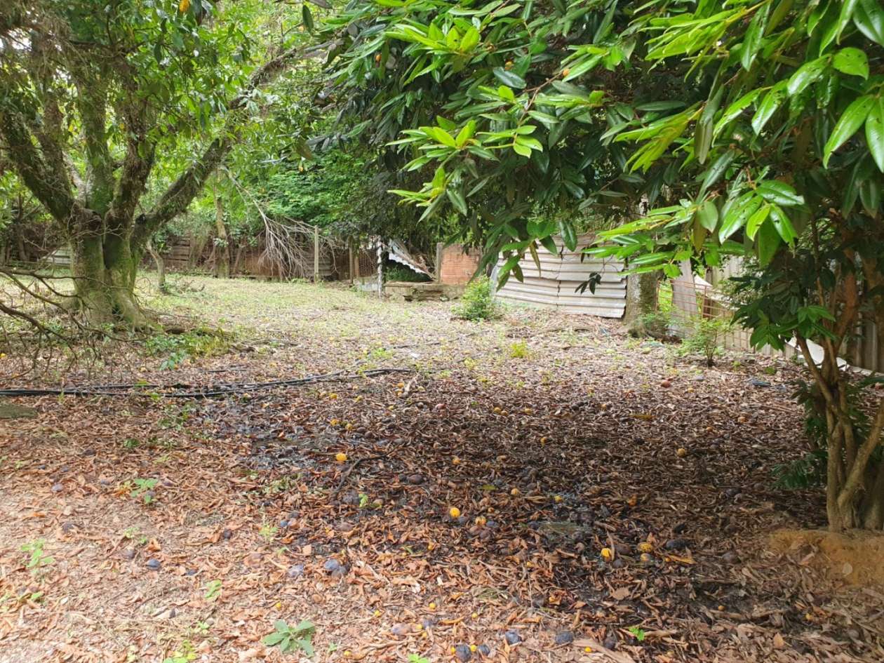 Chácara, 3 quartos, 2500 m² - Foto 40