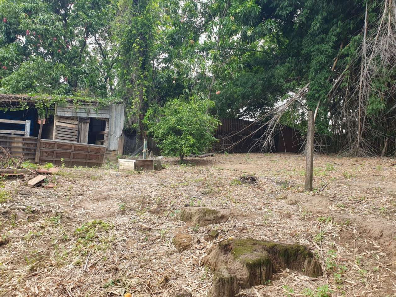 Chácara, 3 quartos, 2500 m² - Foto 46