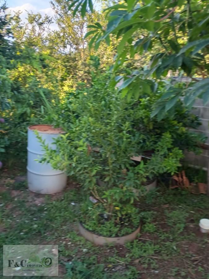 Chácara, 4 quartos, 930 m² - Foto 19