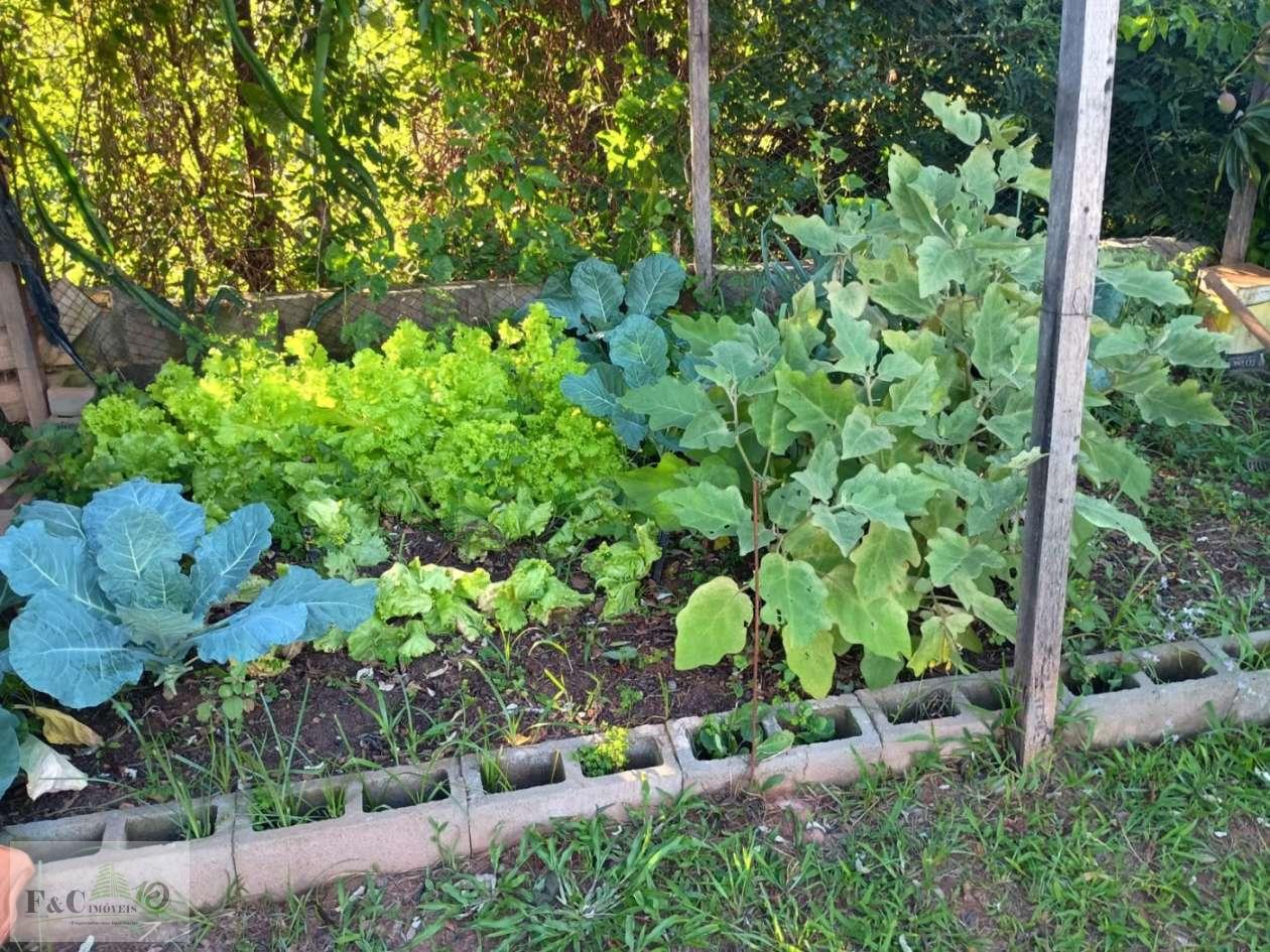 Chácara, 4 quartos, 930 m² - Foto 25