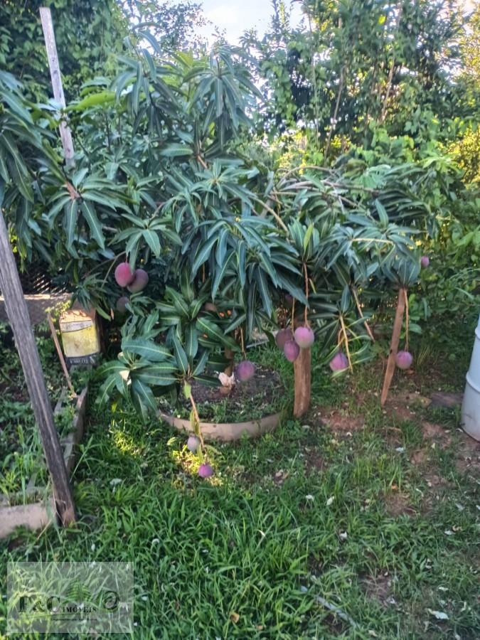 Chácara, 4 quartos, 930 m² - Foto 27