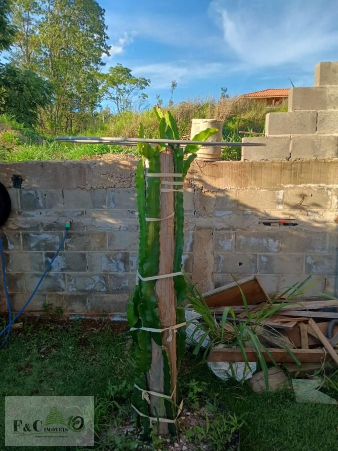 Chácara, 4 quartos, 930 m² - Foto 28