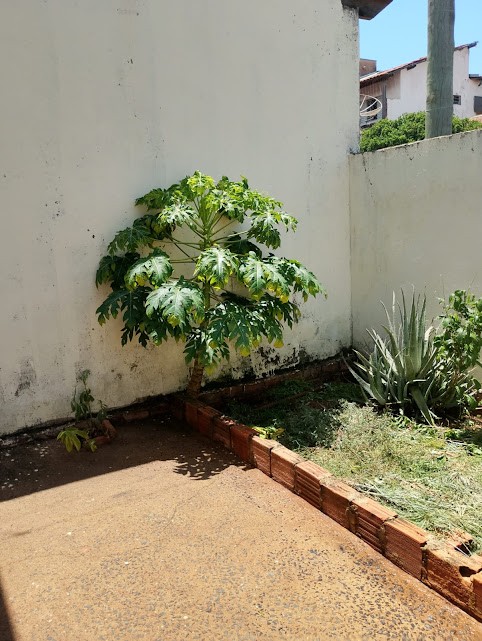 Casa, 2 quartos - Foto 27