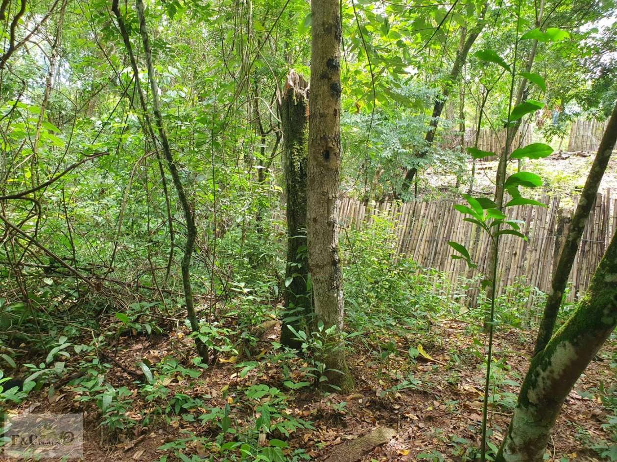 Terreno, 1500 m² - Foto 17