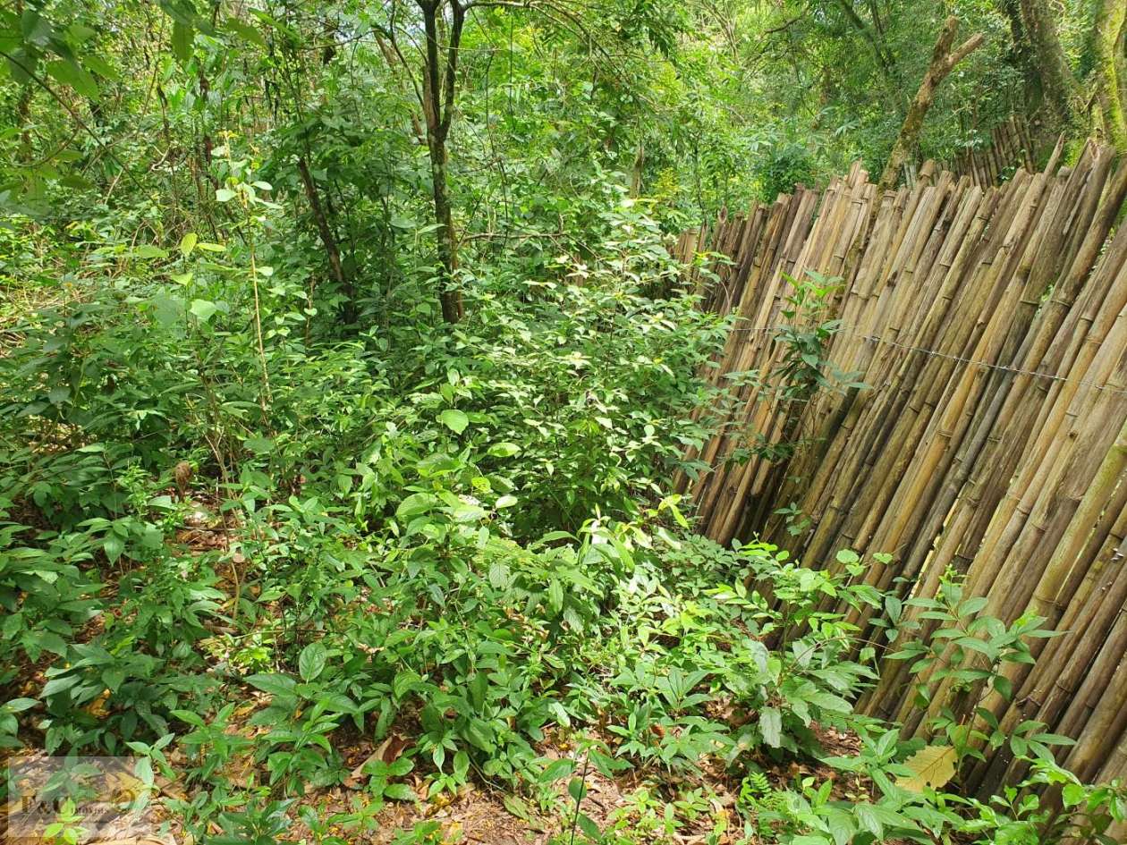 Terreno, 1500 m² - Foto 18