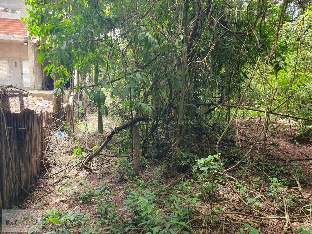 Terreno, 1500 m² - Foto 19