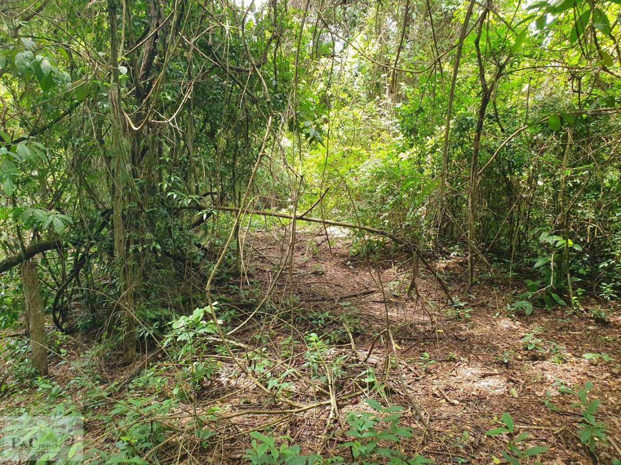 Terreno, 1500 m² - Foto 24