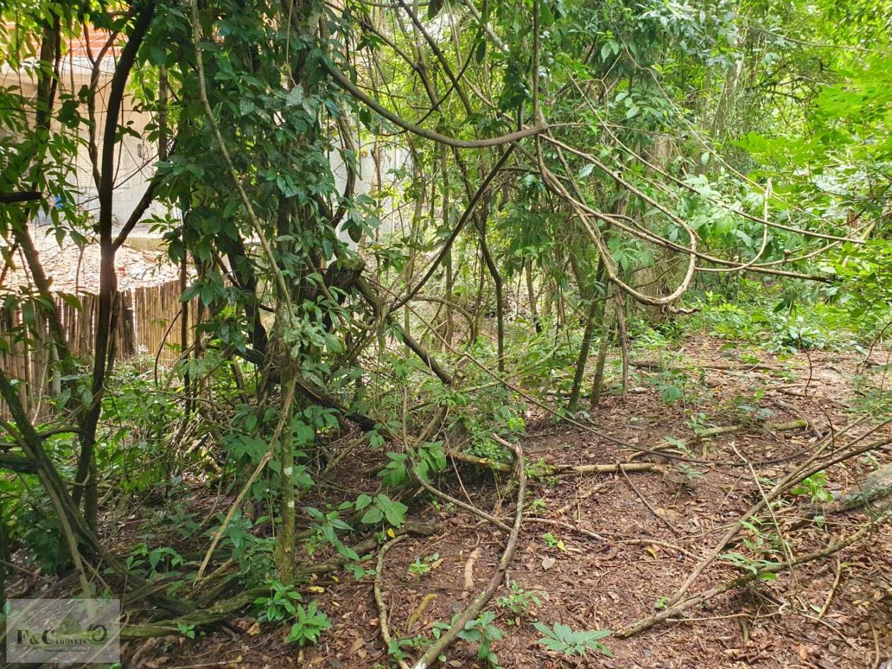 Terreno, 1500 m² - Foto 20