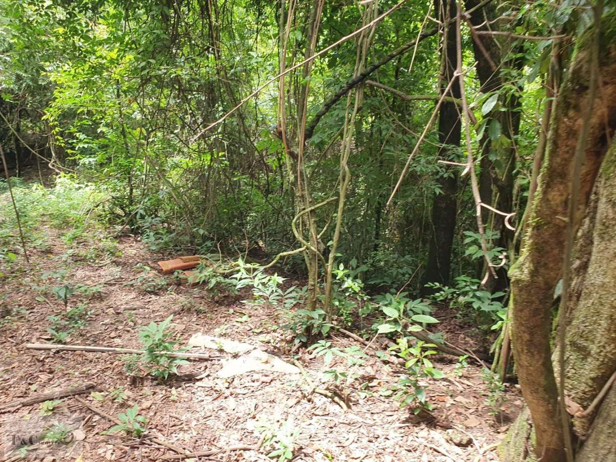 Terreno, 1500 m² - Foto 25