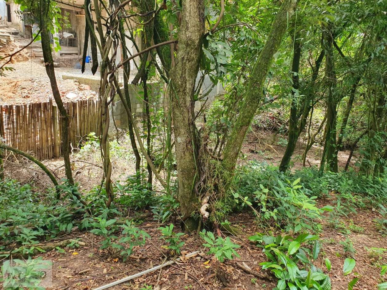 Terreno, 1500 m² - Foto 21