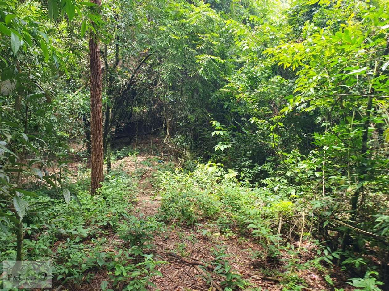 Terreno, 1500 m² - Foto 22