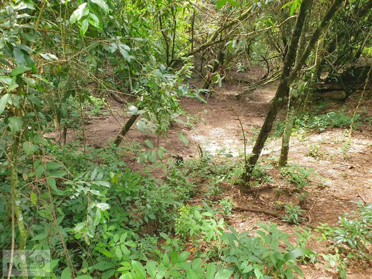 Terreno, 1500 m² - Foto 27