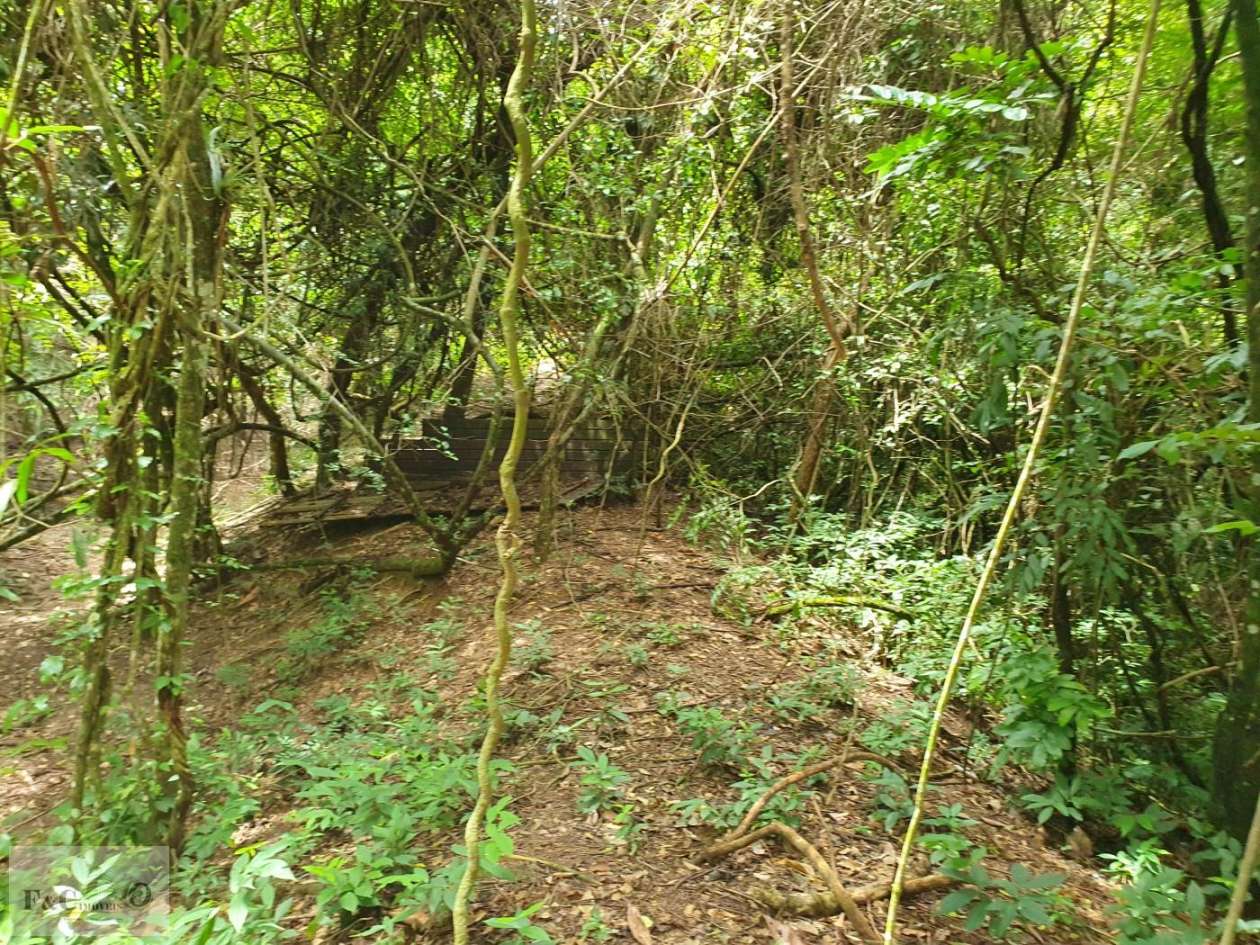 Terreno, 1500 m² - Foto 28