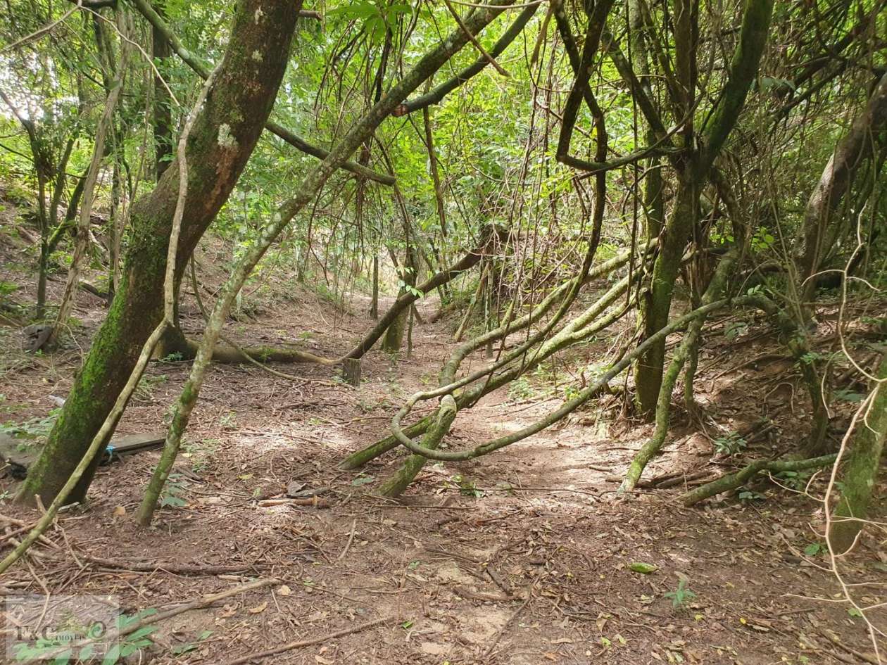 Terreno, 1500 m² - Foto 30