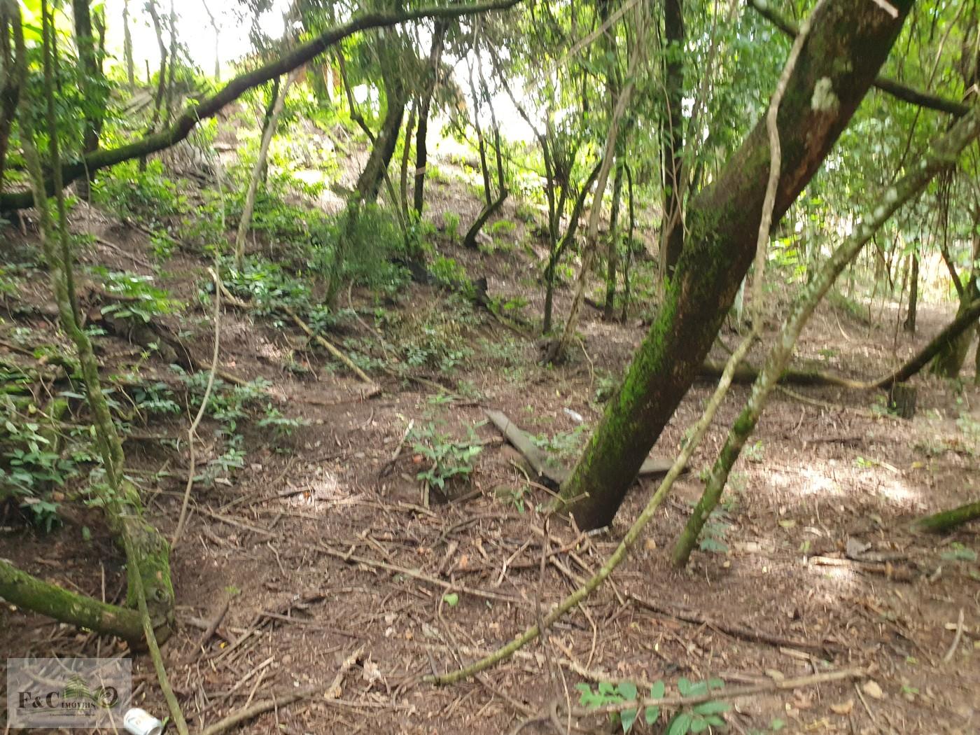 Terreno, 1500 m² - Foto 31