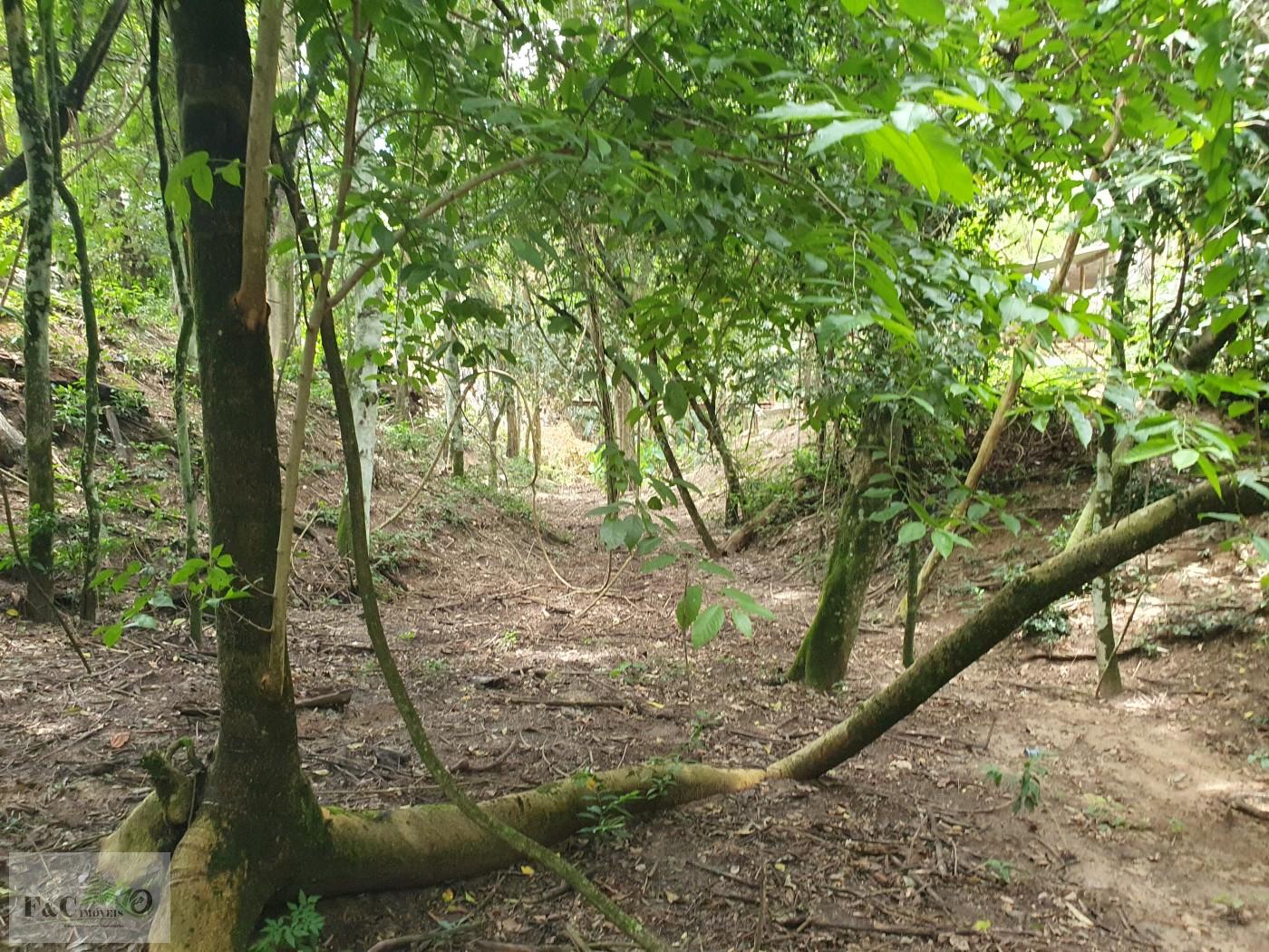 Terreno, 1500 m² - Foto 33