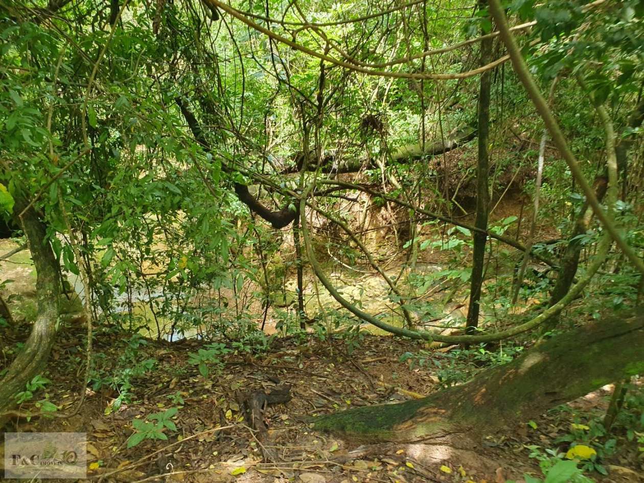 Terreno, 1500 m² - Foto 35