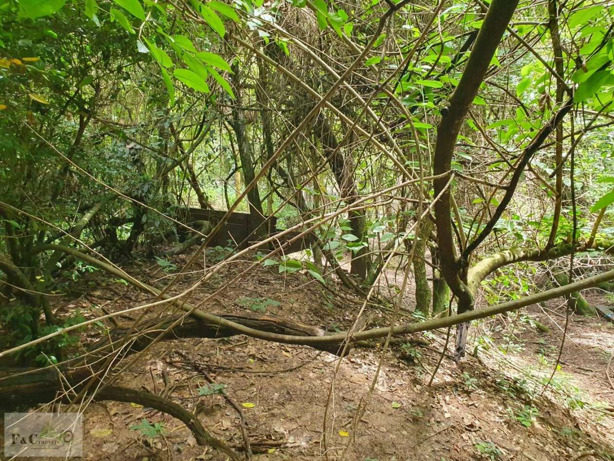 Terreno, 1500 m² - Foto 36