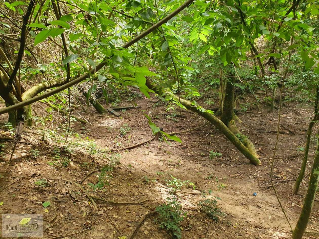 Terreno, 1500 m² - Foto 37