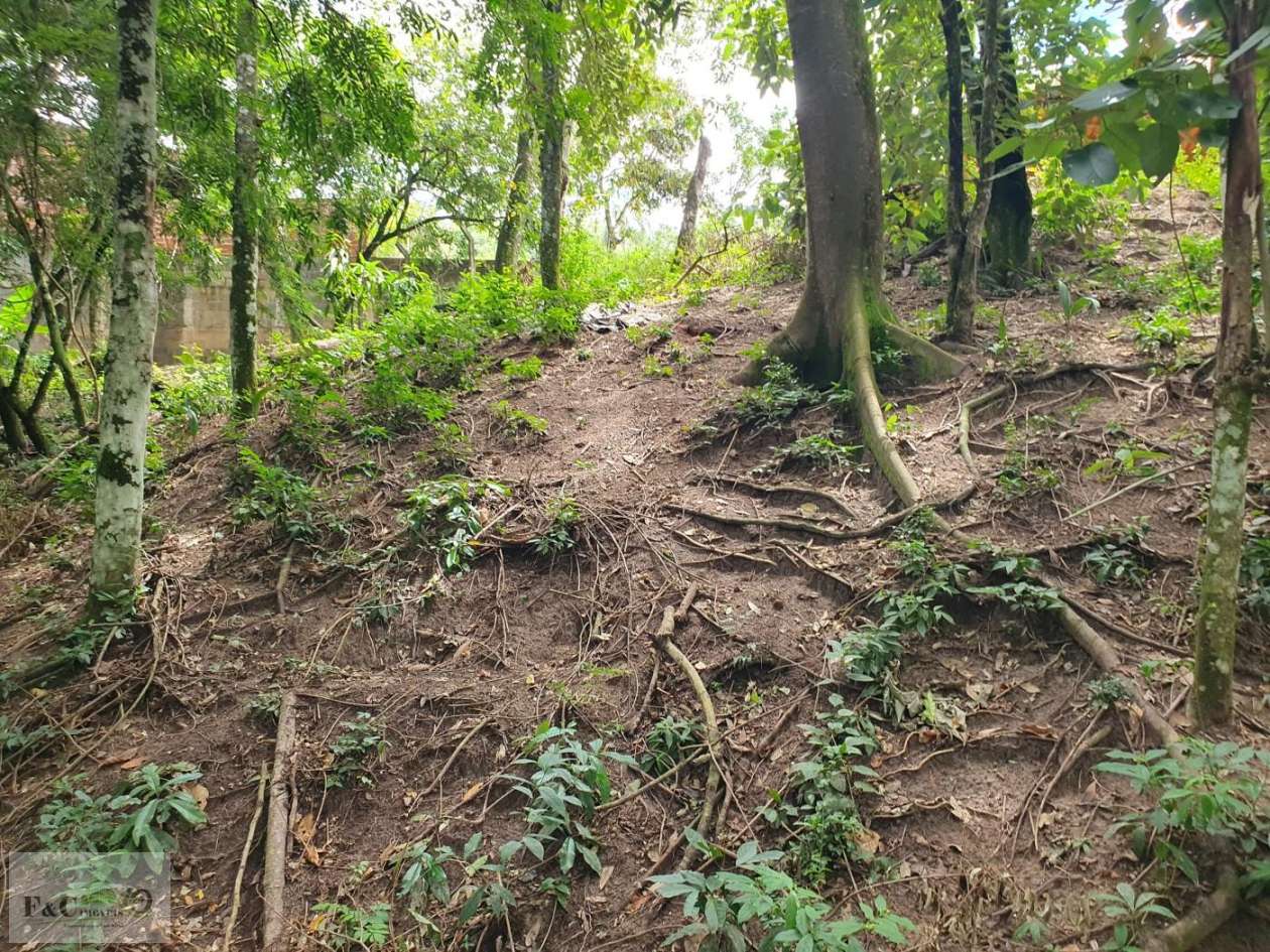 Terreno, 1500 m² - Foto 39