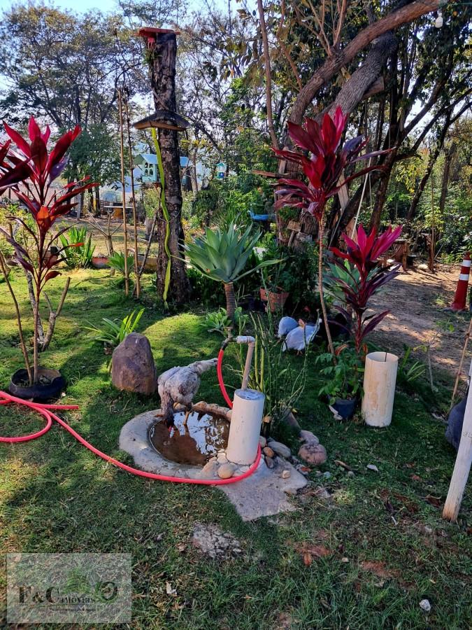 Fazenda, 3500 m² - Foto 9