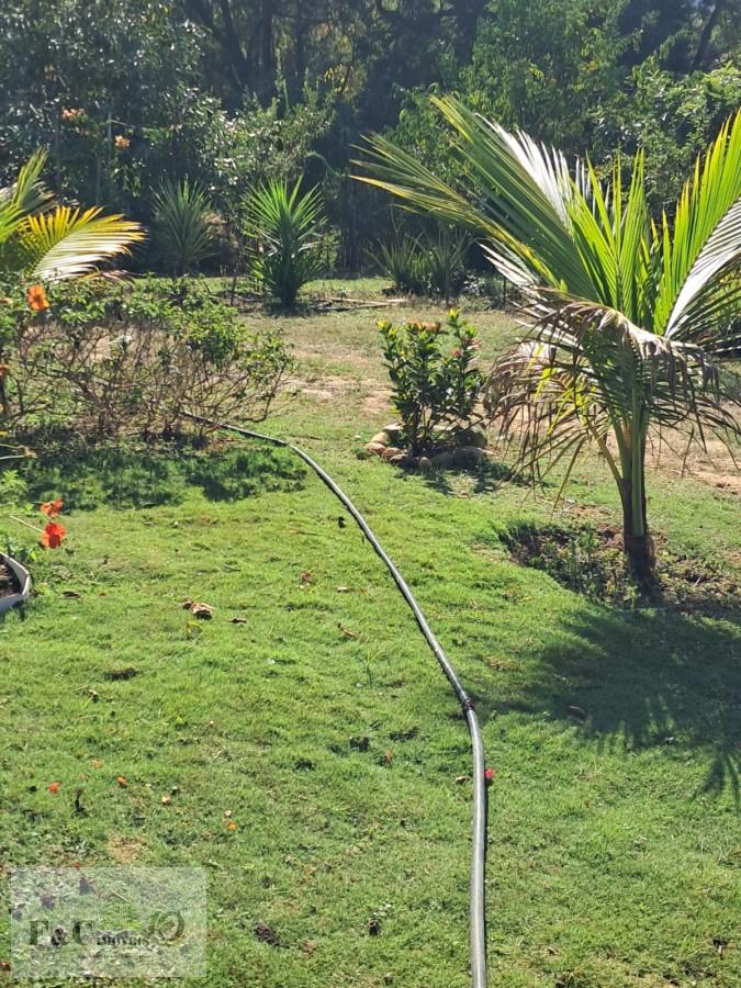 Fazenda, 3500 m² - Foto 8