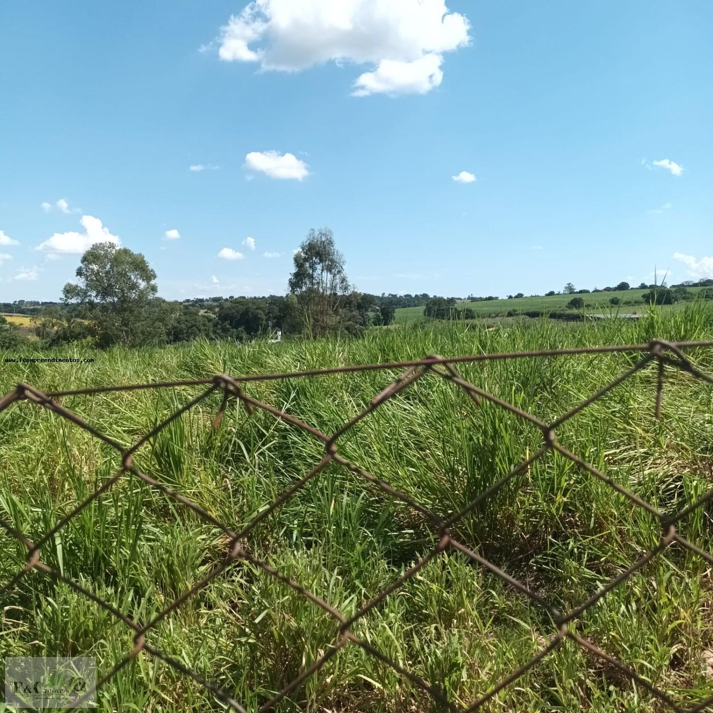 Terreno, 500 m² - Foto 6