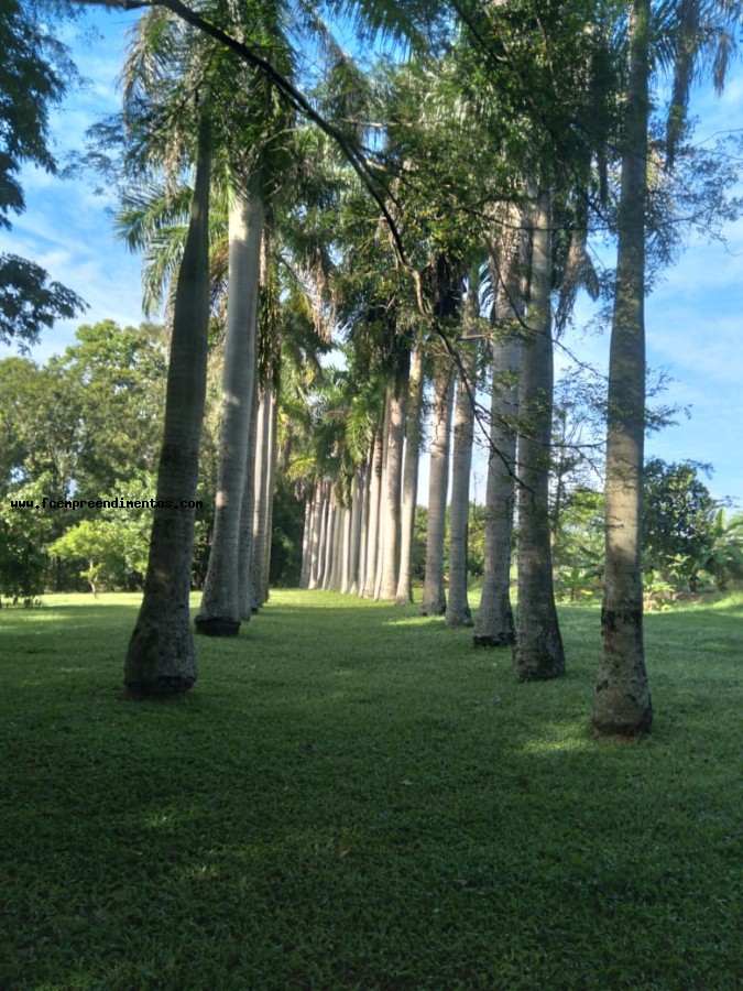 Chácara, 3 quartos, 2 hectares - Foto 39